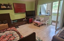 Apartament 1 cameră, parter înalt, zona liniștită, aproape de pădure
