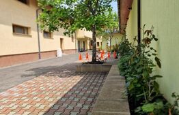 Casa deosebita individuala  cu spatiu comercial ,se vand impreuna zona Centru