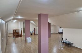 Casa deosebita individuala  cu spatiu comercial ,se vand impreuna zona Centru