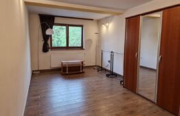 Casa deosebita individuala  cu spatiu comercial ,se vand impreuna zona Centru