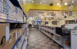 Casa deosebita individuala  cu spatiu comercial ,se vand impreuna zona Centru