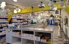 Casa deosebita individuala  cu spatiu comercial ,se vand impreuna zona Centru