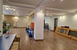 Casa deosebita individuala  cu spatiu comercial ,se vand impreuna zona Centru