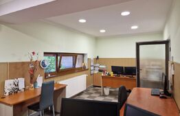 Casa deosebita individuala  cu spatiu comercial ,se vand impreuna zona Centru