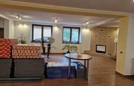 Casa deosebita individuala  cu spatiu comercial ,se vand impreuna zona Centru