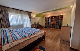 Casa deosebita individuala  cu spatiu comercial ,se vand impreuna zona Centru