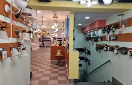 Casa deosebita individuala  cu spatiu comercial ,se vand impreuna zona Centru