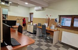 Casa deosebita individuala  cu spatiu comercial ,se vand impreuna zona Centru