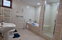 Casa deosebita individuala  cu spatiu comercial ,se vand impreuna zona Centru