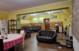 Casa deosebita individuala  cu spatiu comercial ,se vand impreuna zona Centru