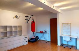 Duplex modern, curte, parcare, pet frinedly, zona Calea Turzii