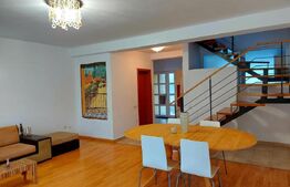Duplex modern, curte, parcare, pet frinedly, zona Calea Turzii