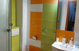 Duplex modern, curte, parcare, pet frinedly, zona Calea Turzii