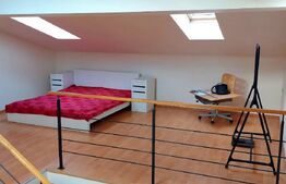 Duplex modern, curte, parcare, pet frinedly, zona Calea Turzii