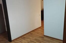 Apartament 2 camere, demisol, 48 mp utili, cartier Buna Ziua