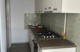 Apartament 2 camere, 65 MP, parcare, gradina, zona GRIGORESCU