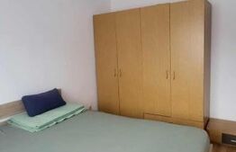Apartament 2 Camere,  Parcare , Cart. Grigorescu, Cat friendly 
