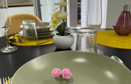 Apartament cu 2 camere, terasa, parcare subterana, zona Terra