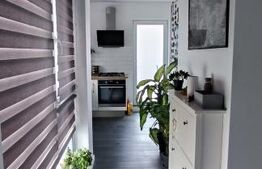 Apartament cu 3 camere, 63 mp utili, terasa de 88 mp, zona Cetatii