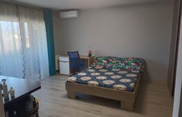 Apartament decomandat, 38 mp, etaj intermediar, zona Sub Cetate