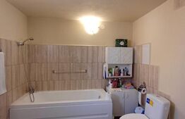 Casa 4 camere in Viisoara, langa Campia Turzii