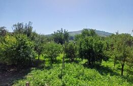 Casa 4 camere in Viisoara, langa Campia Turzii