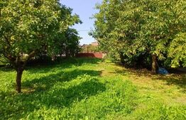 Casa 4 camere in Viisoara, langa Campia Turzii