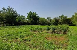 Casa 4 camere in Viisoara, langa Campia Turzii