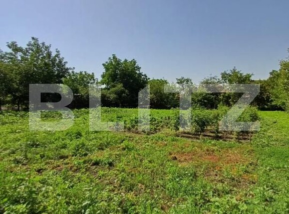 Casa de vânzare 4 camere Viisoara - 174798CV | BLITZ Cluj-Napoca | Poza4