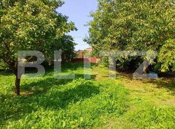 Casa de vânzare 4 camere Viisoara - 174798CV | BLITZ Cluj-Napoca | Poza2