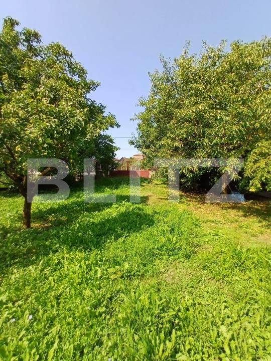 Casa de vânzare 4 camere Viisoara - 174798CV | BLITZ Cluj-Napoca | Poza3