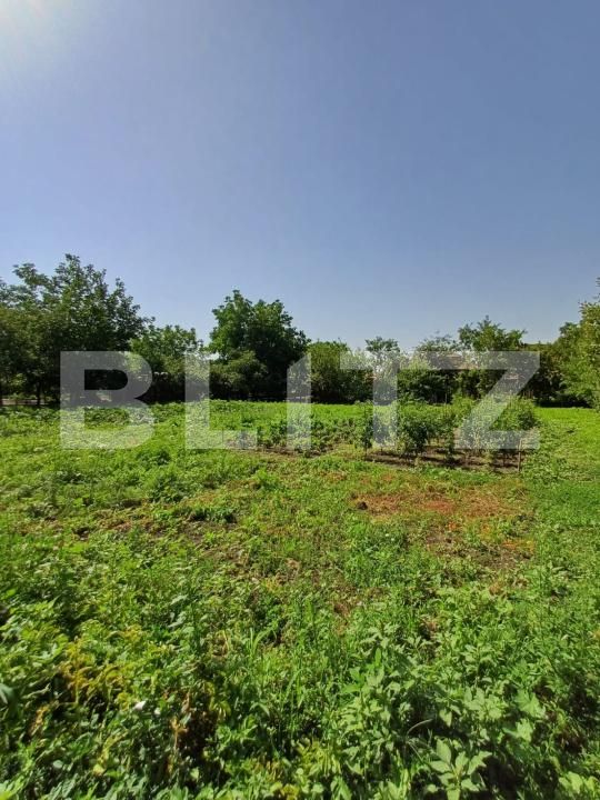 Casa de vânzare 4 camere Viisoara - 174798CV | BLITZ Cluj-Napoca | Poza4