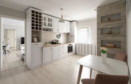 Apartament cochet de 2 camere, 54 mp + balcon,  Sud-Est, Marasti 