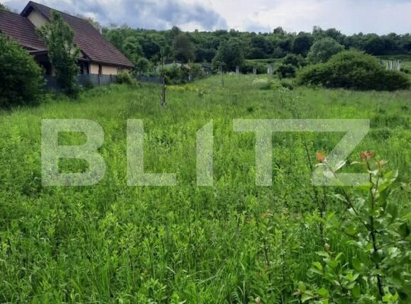 Teren de vânzare Ciurila - 174835TV | BLITZ Cluj-Napoca | Poza2