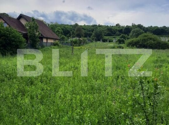 Teren de vânzare Ciurila - 174835TV | BLITZ Cluj-Napoca | Poza3