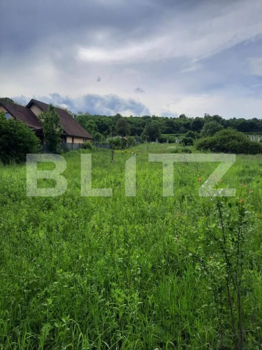 Teren de vânzare Ciurila - 174835TV | BLITZ Cluj-Napoca | Poza3