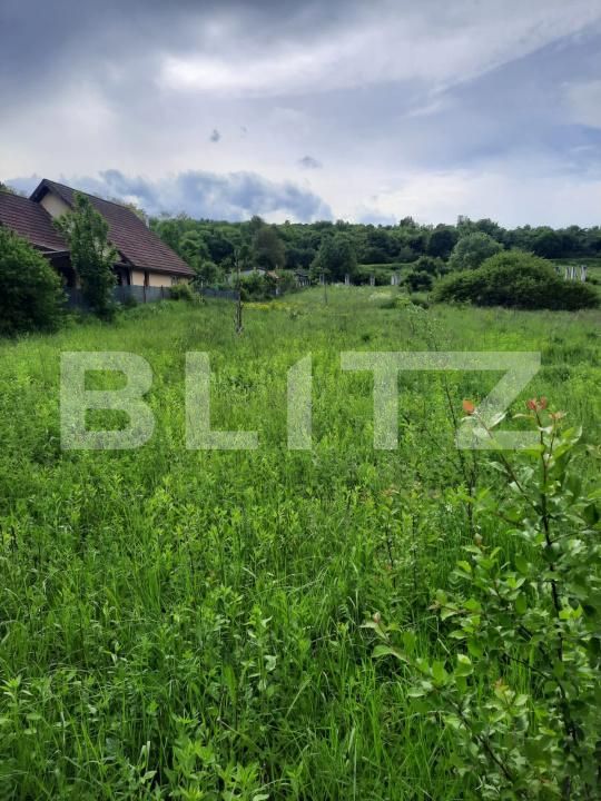 Teren de vânzare Ciurila - 174835TV | BLITZ Cluj-Napoca | Poza2