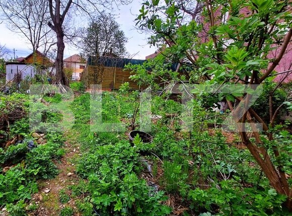 Teren de vânzare Grigorescu - 174858TV | BLITZ Cluj-Napoca | Poza3