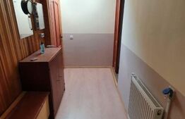 Apartament la casa,1 camera, 30 mp, zona strazii Artelor