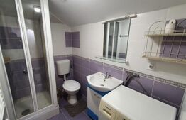 Apartament la casa,1 camera, 30 mp, zona strazii Artelor