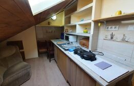 Apartament la casa,1 camera, 30 mp, zona strazii Artelor