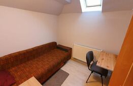 Apartament la casa,1 camera, 30 mp, zona strazii Artelor