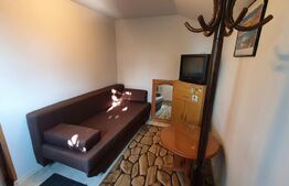 Apartament de 1 camera, decomandat, zona strazii Artelor