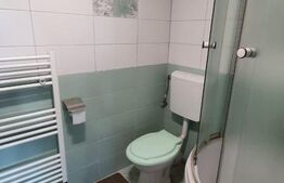 Apartament de 1 camera, decomandat, zona strazii Artelor