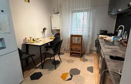 Apartament cu 2 camere parter, 56 mp utili, Uzina 2, Brasov