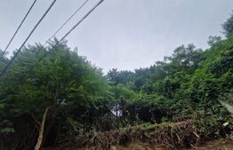 Casa in inimia Brasovului individuala la pret de apartament