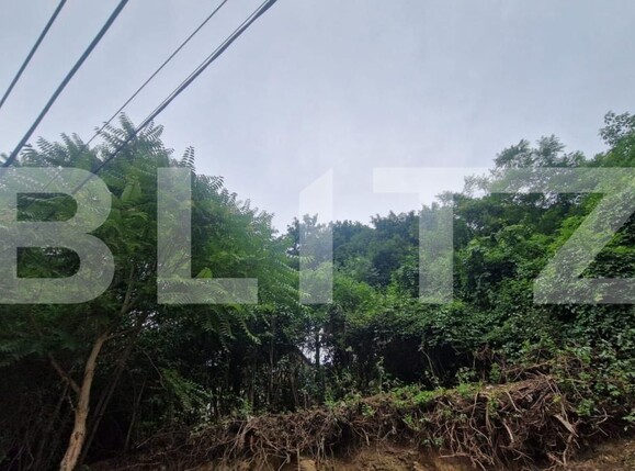 Casa de vânzare 3 camere Schei - 174901CV | BLITZ Brașov | Poza10