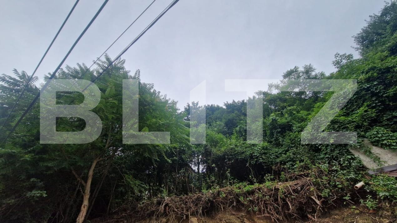 Casa de vânzare 3 camere Schei - 174901CV | BLITZ Brașov | Poza10