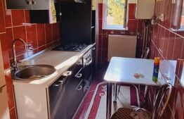 Oportunitate - Garsoniera confort 1,  30 mp, etaj 1, zona excelenta, mobilata