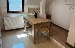 Apartament 1 camera, 40mp, Casa de Cultura, Centru